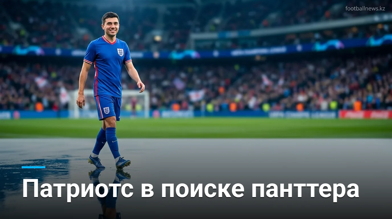 Патриотс проверяют опытного панттера на фоне травмы основного специалиста