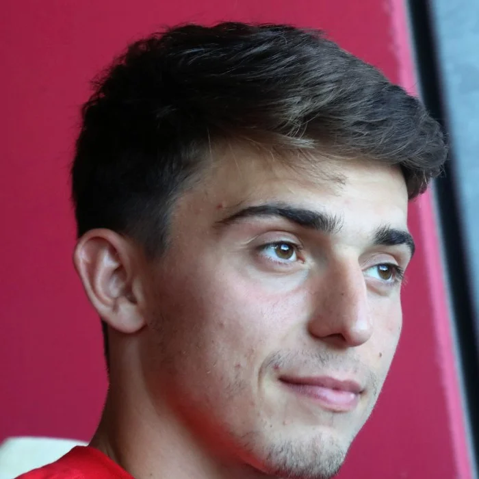 Albert Vallci
