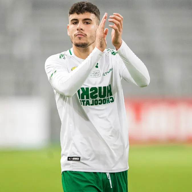 Edvin Kurtulus