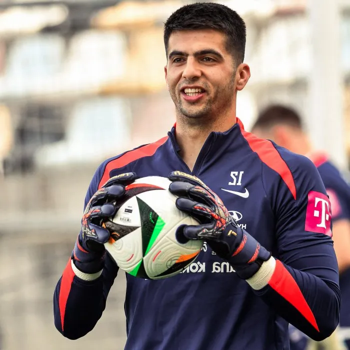 Недилько Лабрович